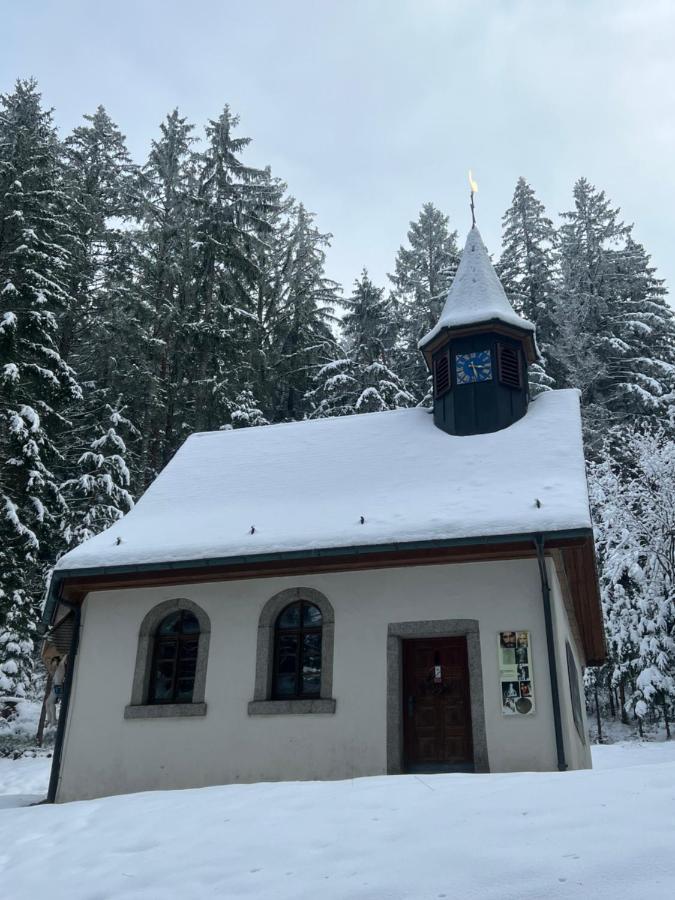 Apartment Annis Panoramablick Pool Sauna Tennis Schonach im Schwarzwald Exterior photo